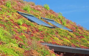 Maryport living roof systems